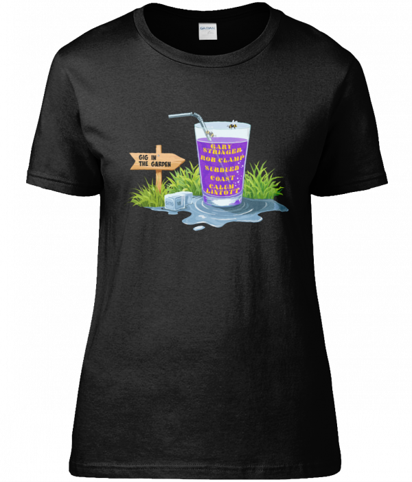 Ladies Fitted T-Shirts - £11